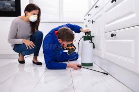 Emergency Pest Control Services in Lake Dunlap, TX